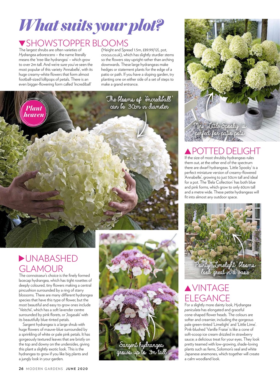 Modern Gardens Preview Pages