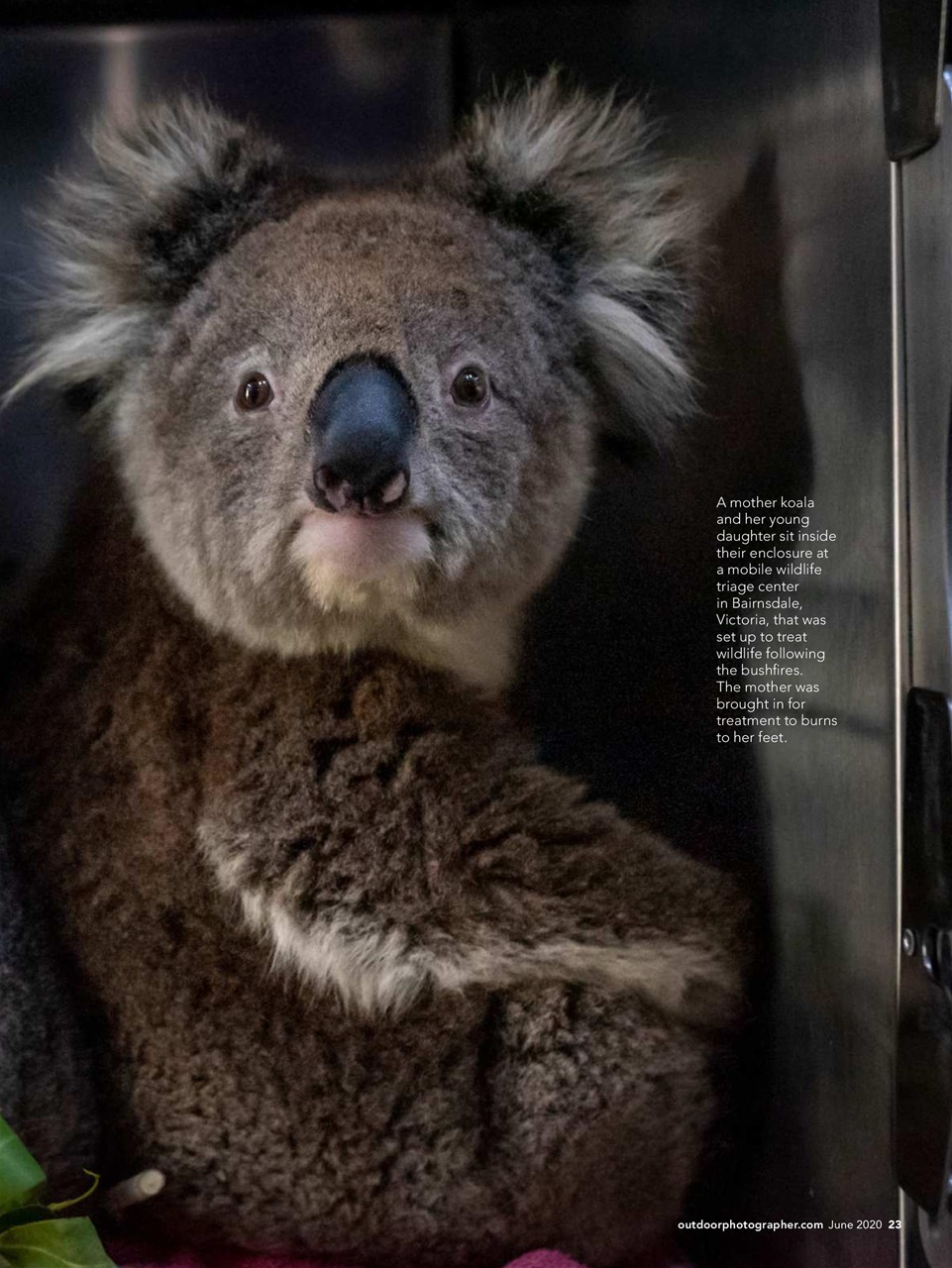Outdoor Photographer Preview Pages