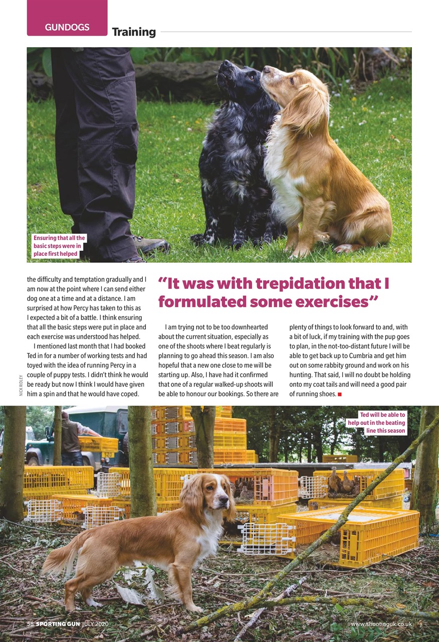 Sporting Gun Preview Pages