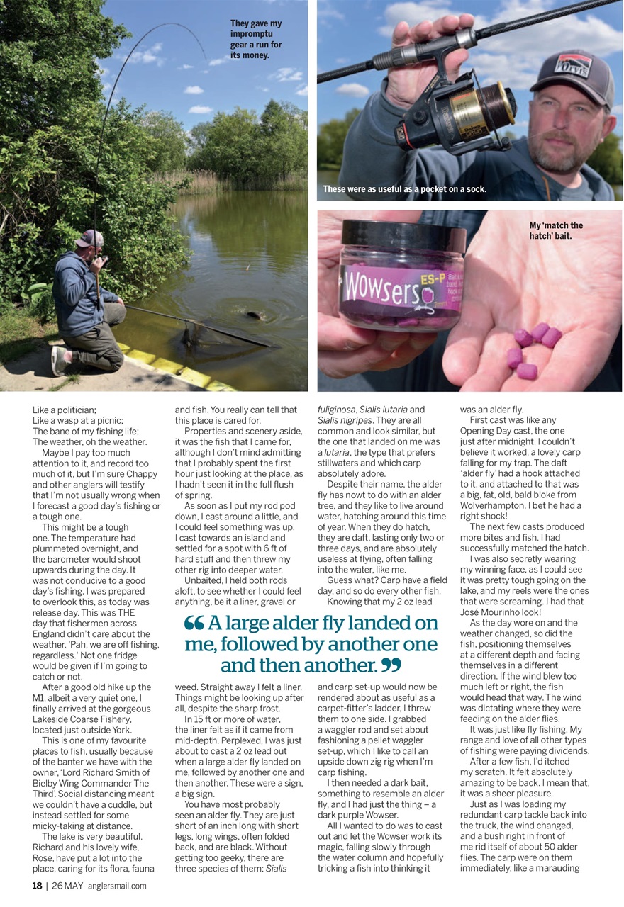 Anglers Mail Preview Pages