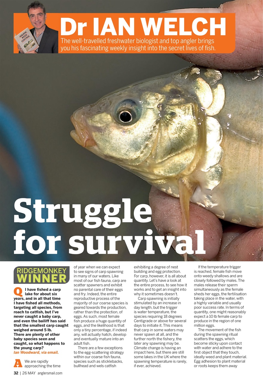 Anglers Mail Preview Pages