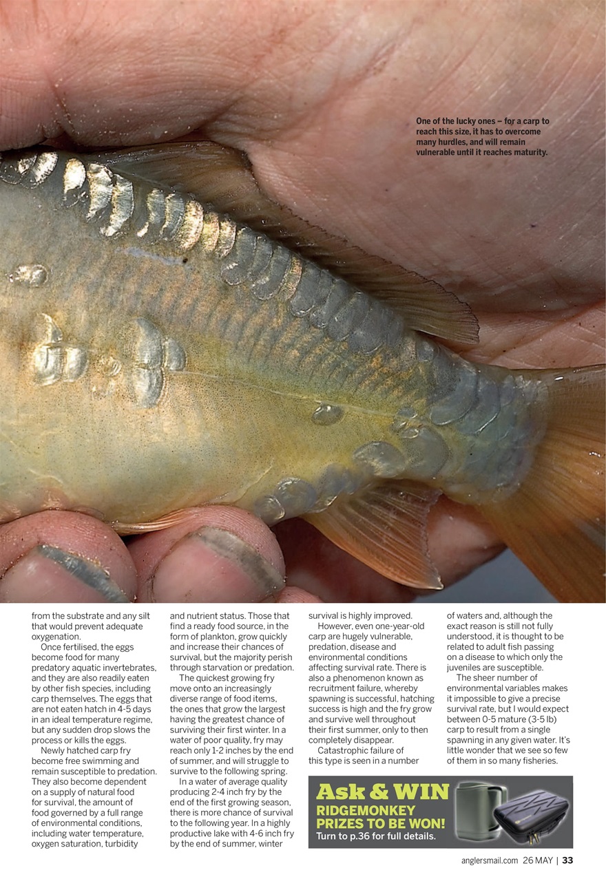 Anglers Mail Preview Pages