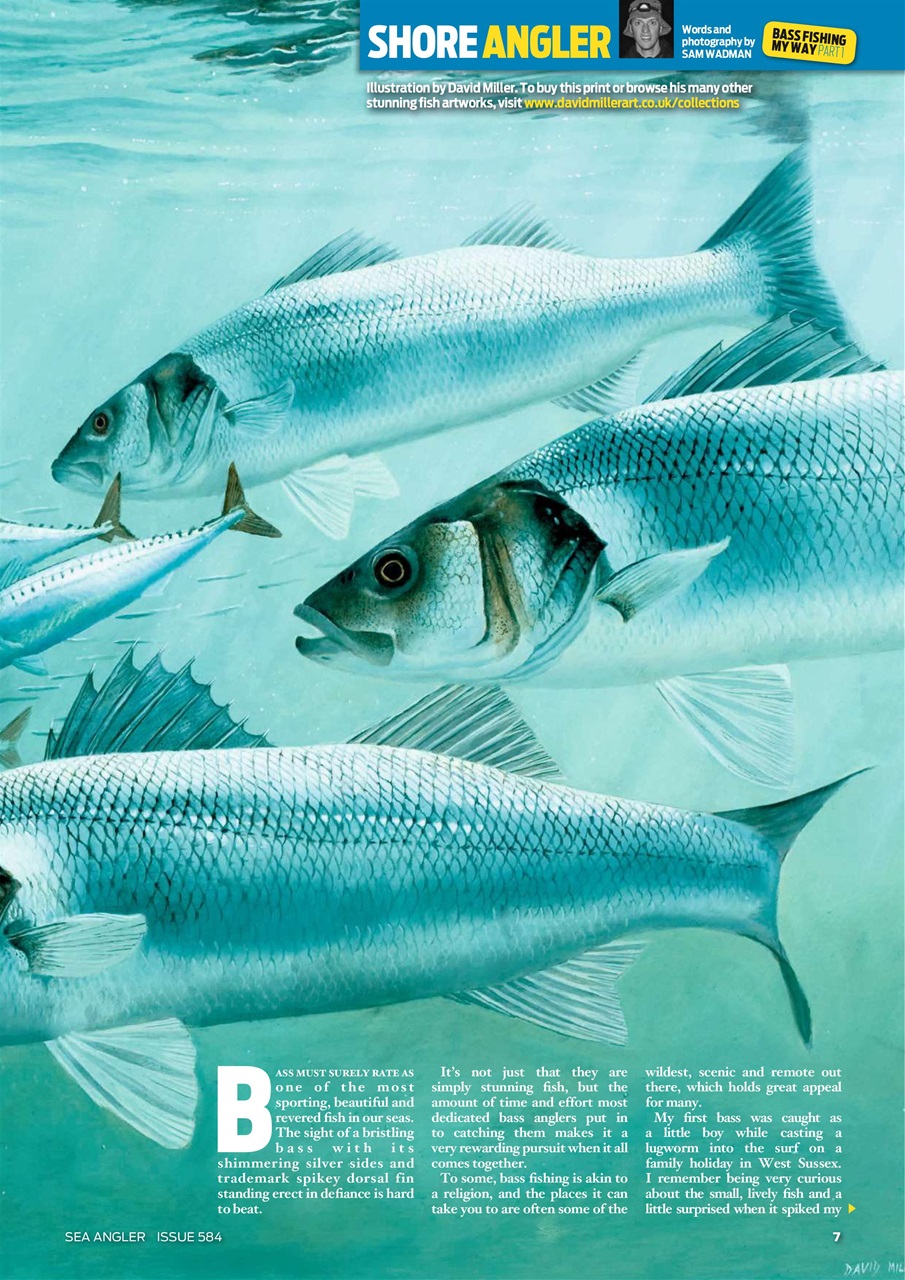 Sea Angler Preview Pages