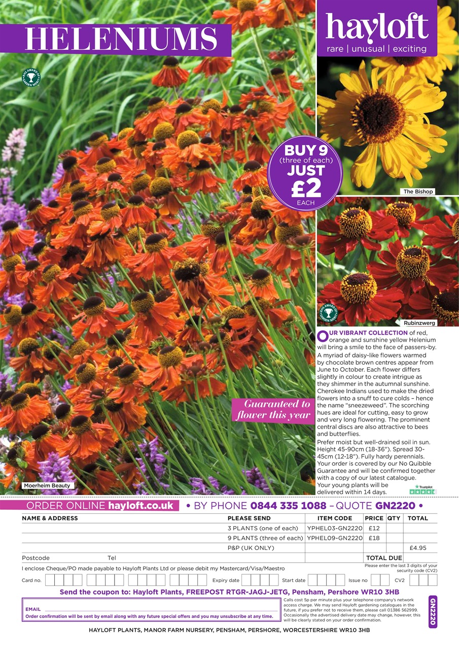 Garden News Preview Pages