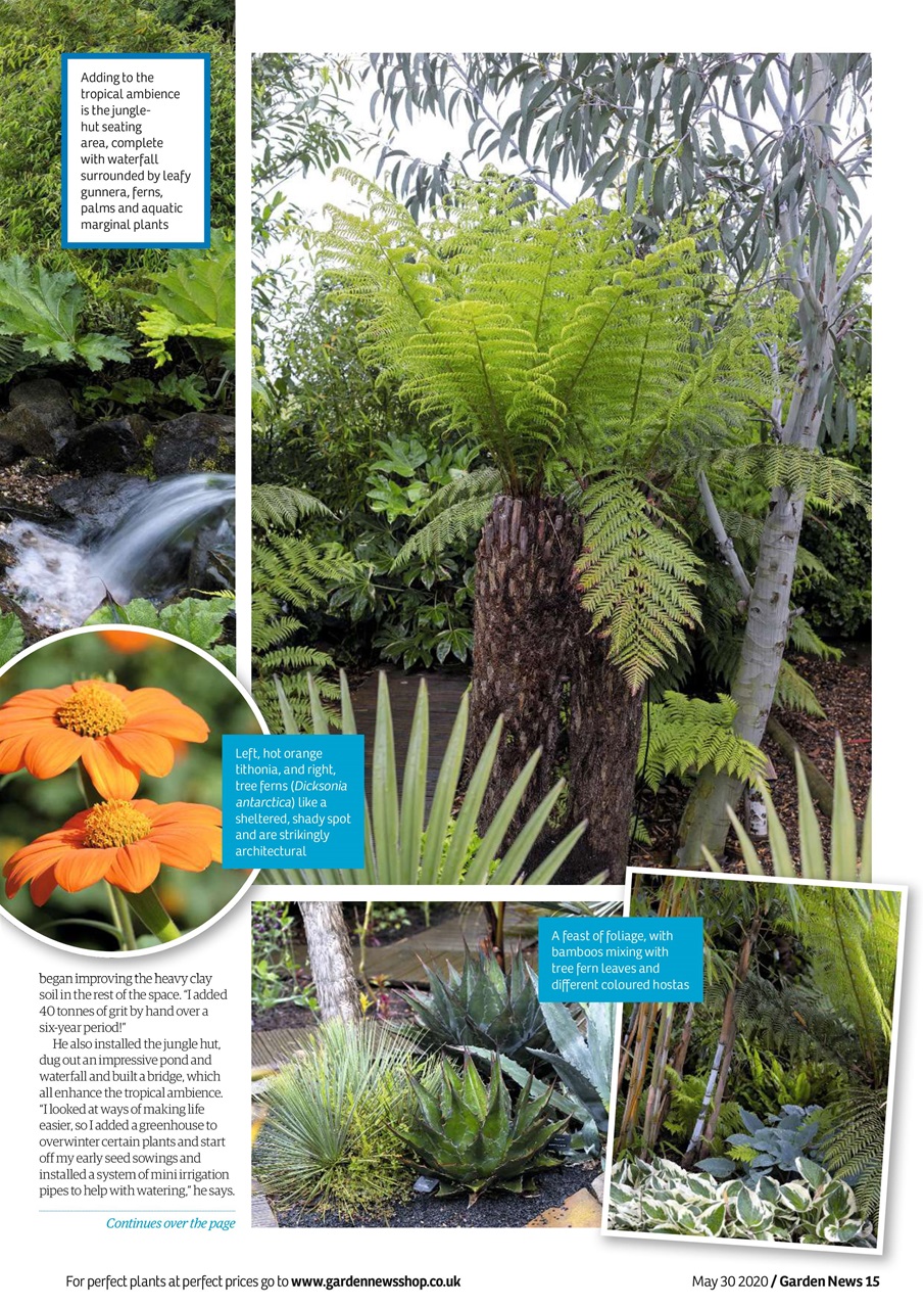 Garden News Preview Pages