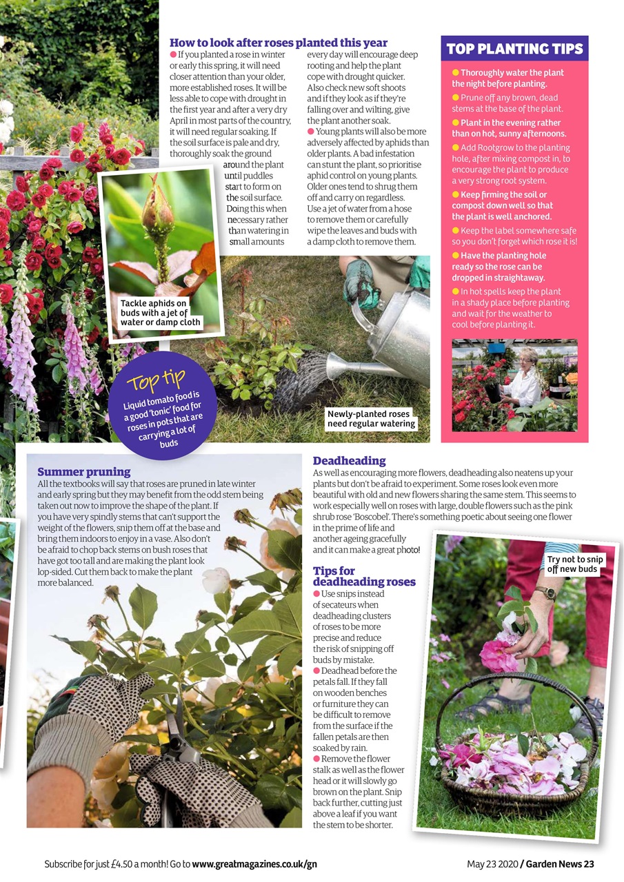Garden News Preview Pages
