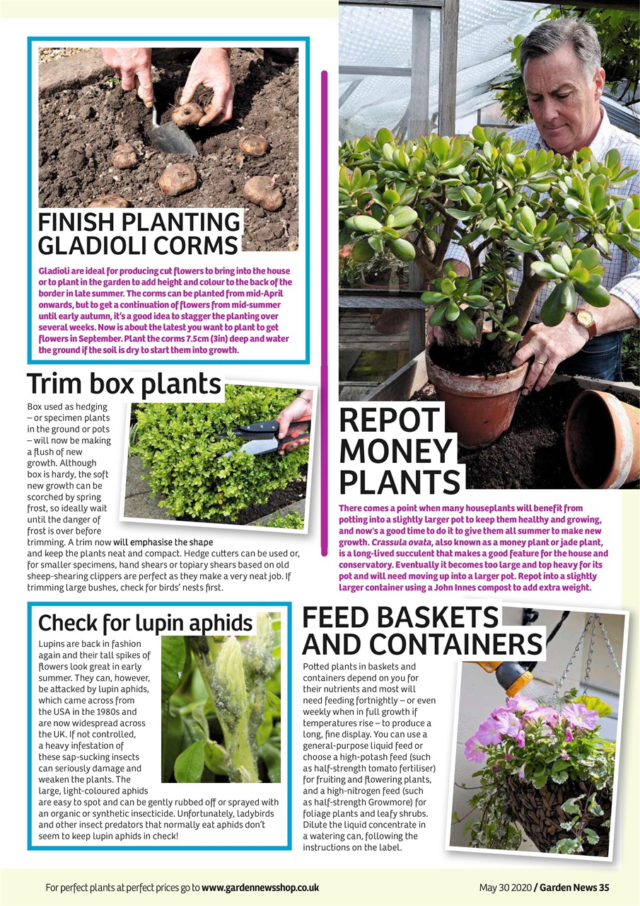 Garden News Preview Pages