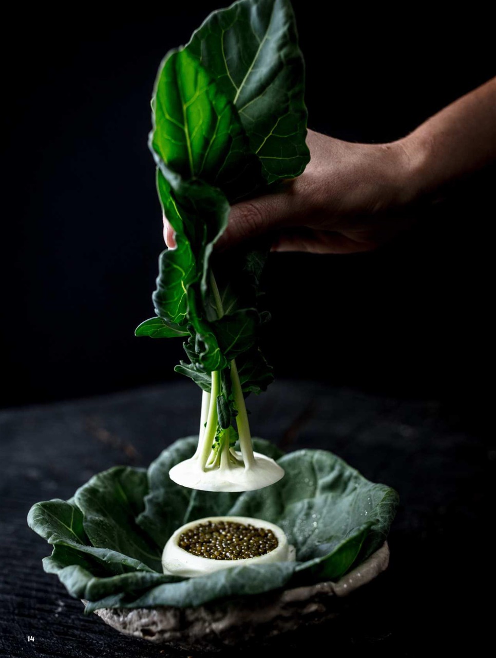 Chef & Restaurant USA Magazine Preview Pages