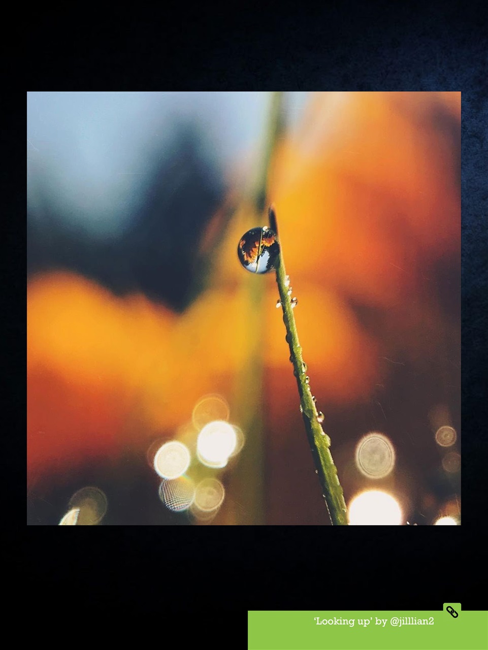 Mobiography Preview Pages