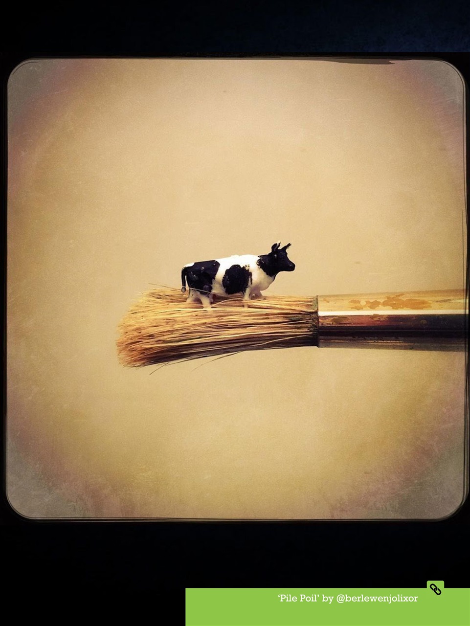 Mobiography Preview Pages