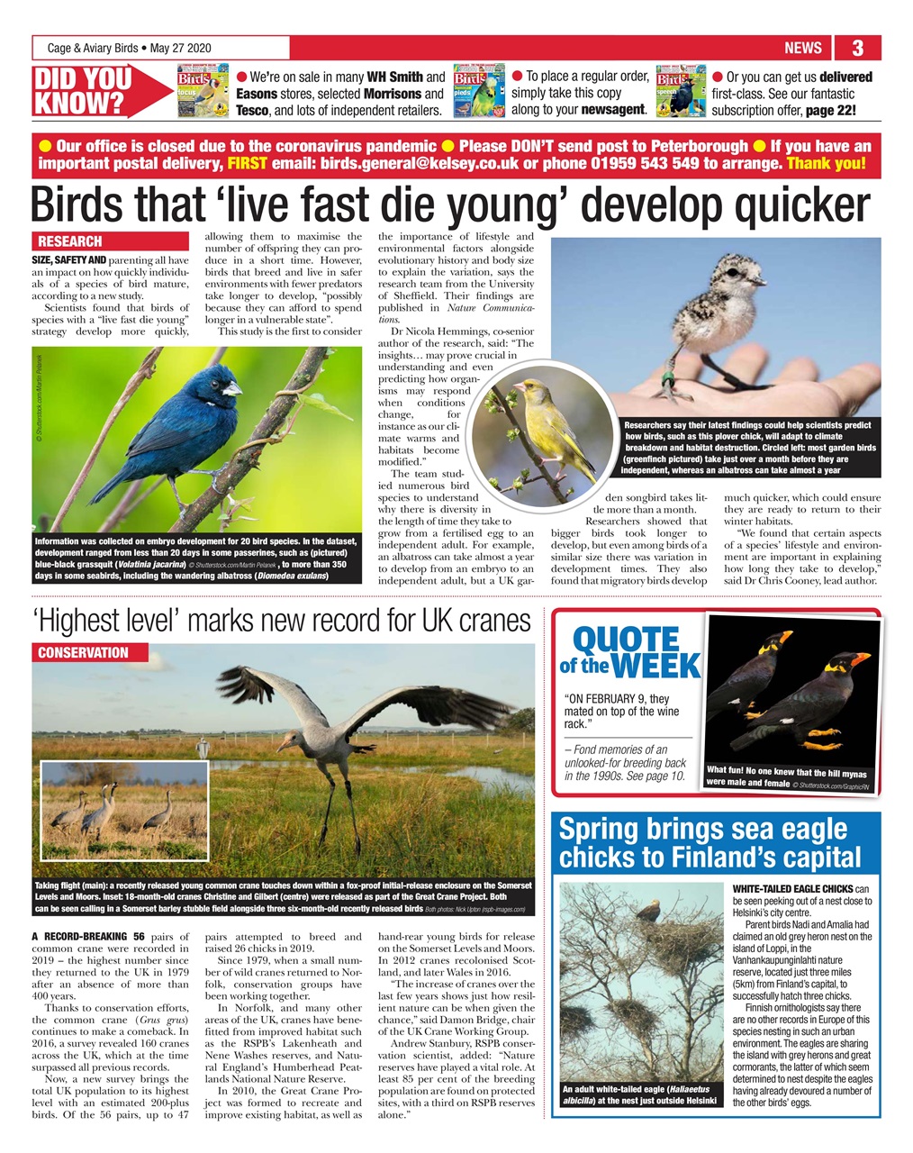 Cage & Aviary Birds Preview Pages