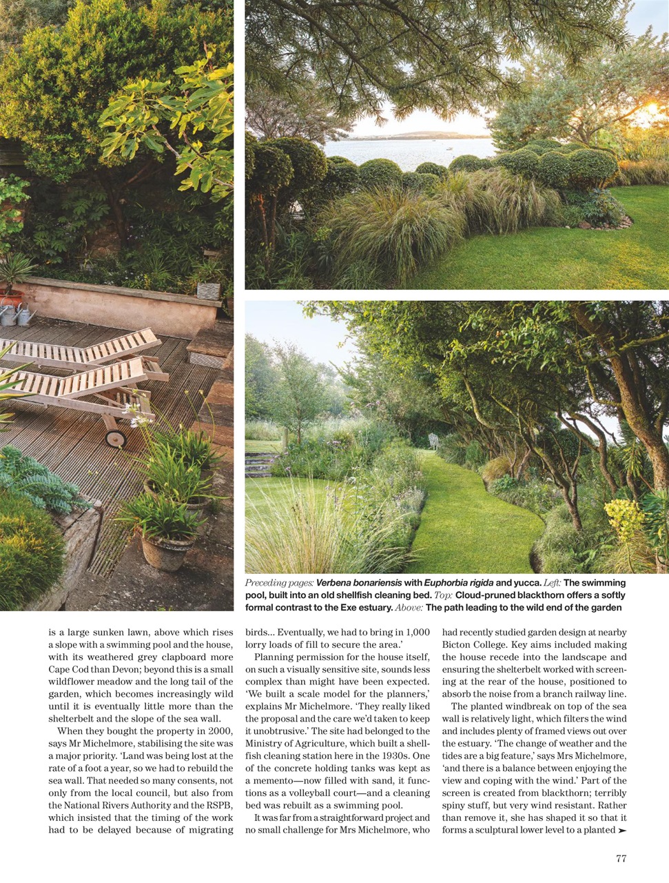 Country Life Preview Pages