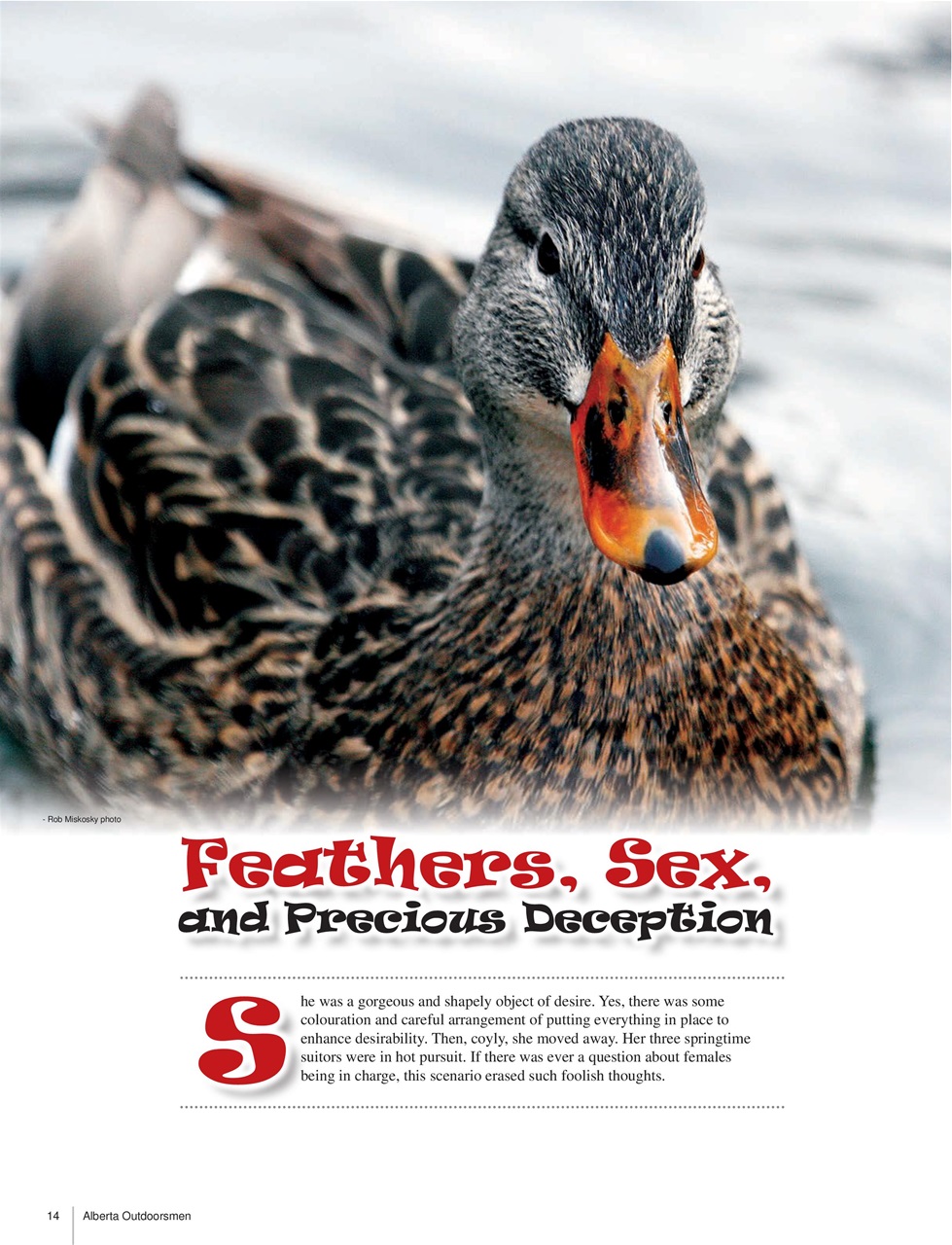 Alberta Outdoors Preview Pages