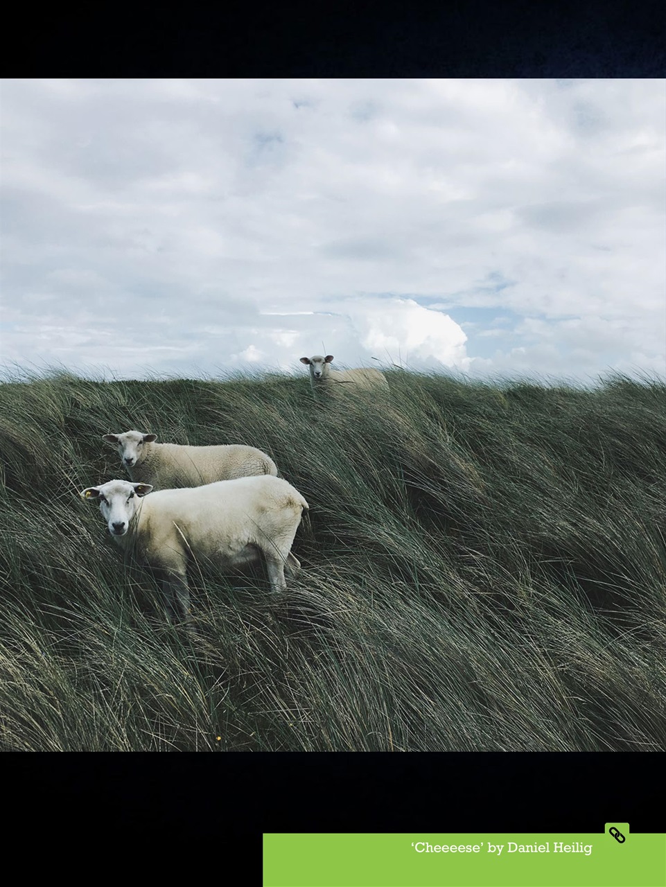 Mobiography Preview Pages