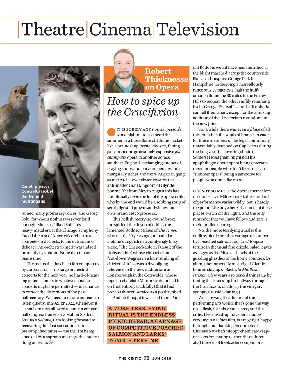 The Critic Preview Pages