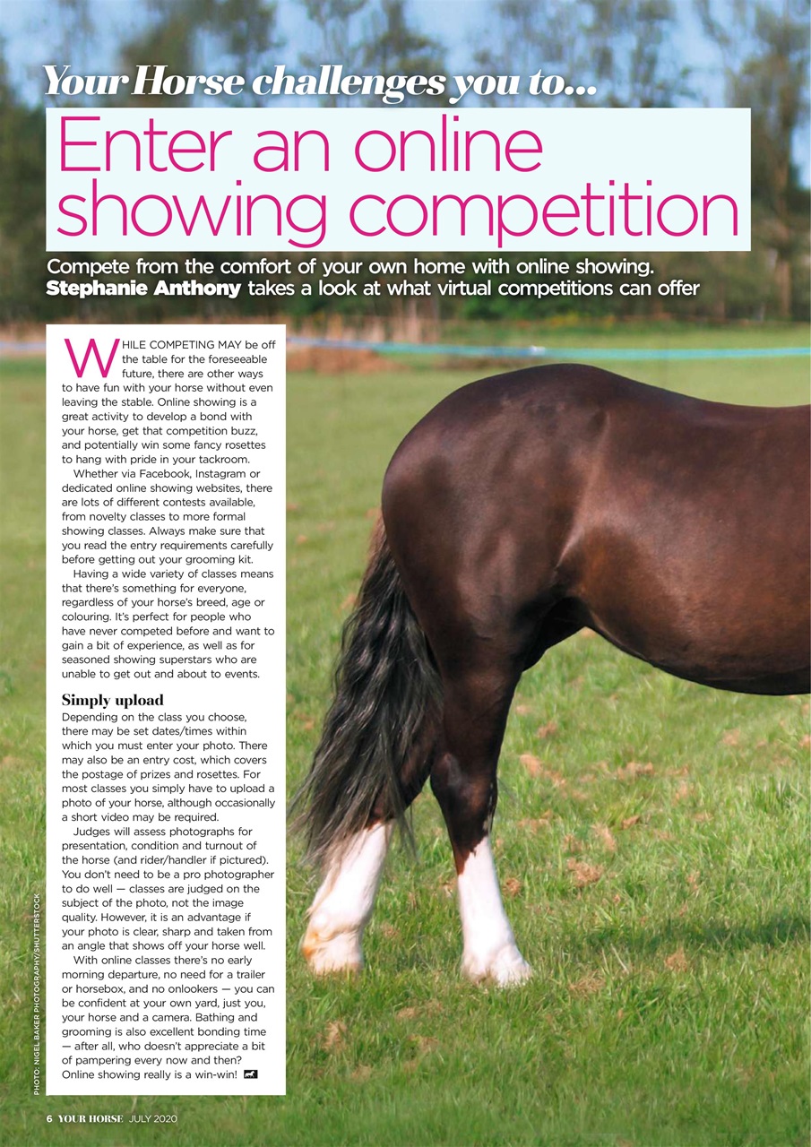 Your Horse Preview Pages