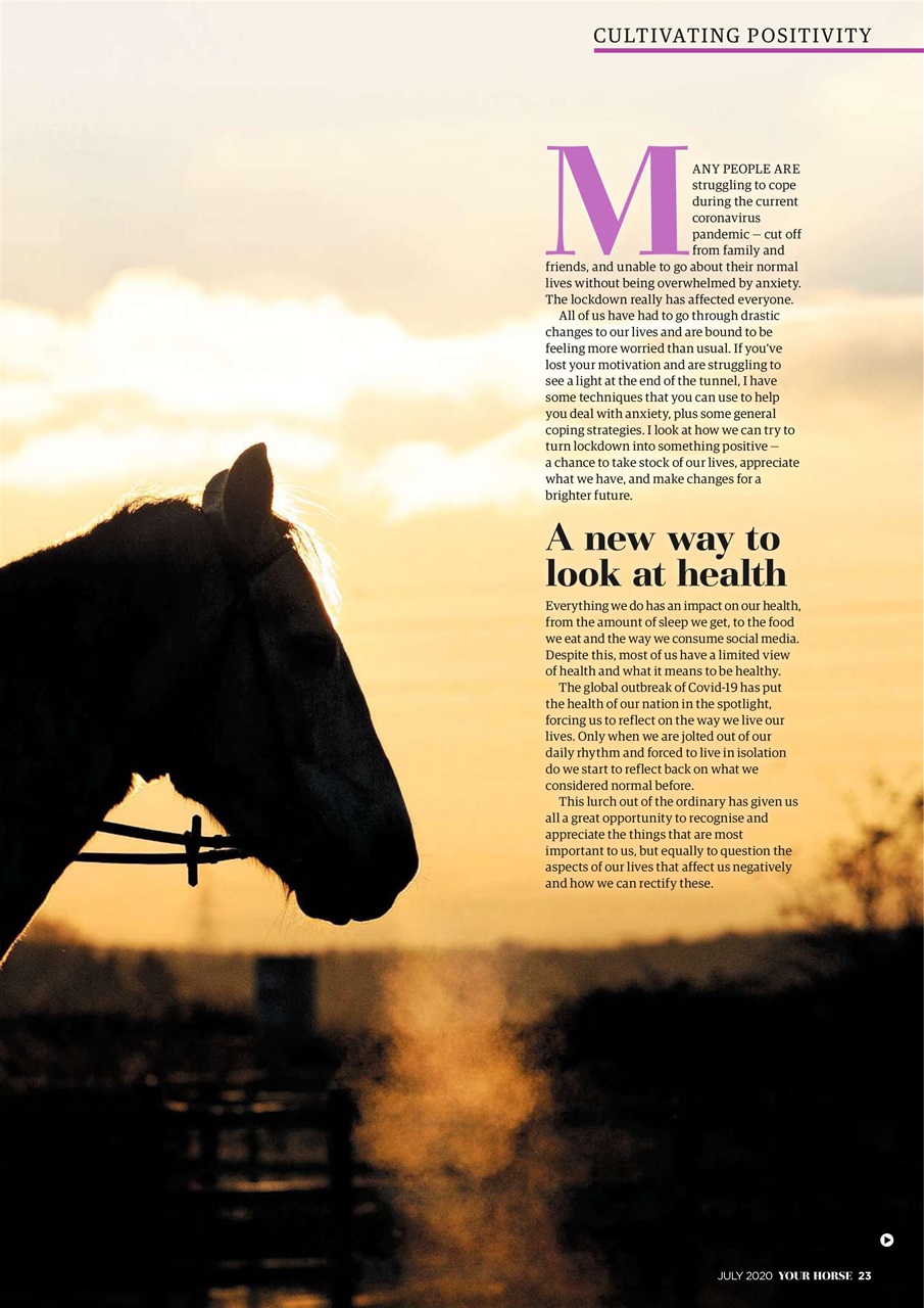 Your Horse Preview Pages