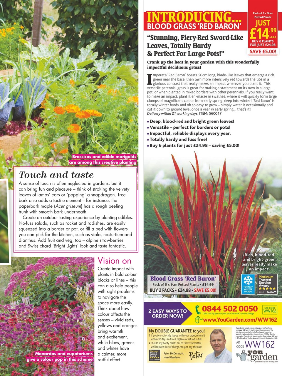 Woman's Weekly Preview Pages