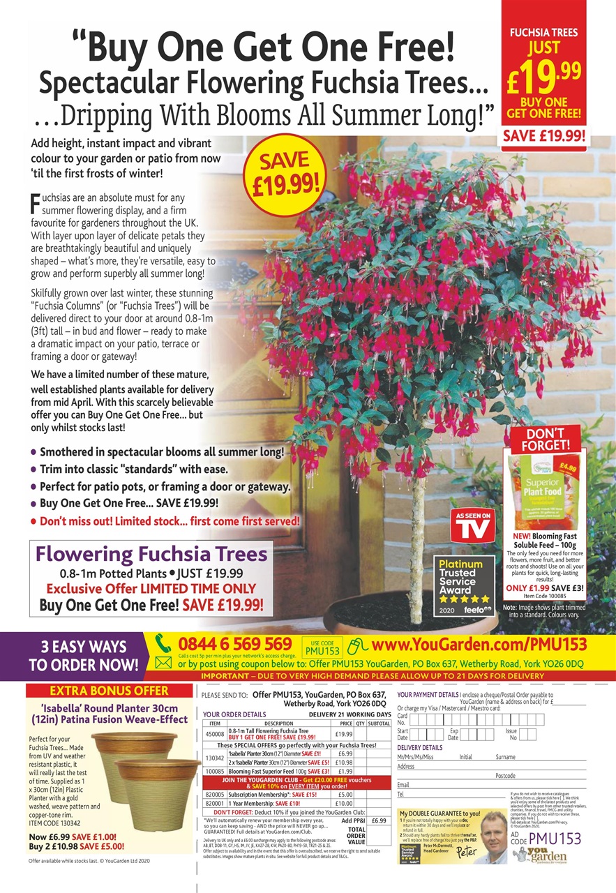 Pick Me Up Preview Pages