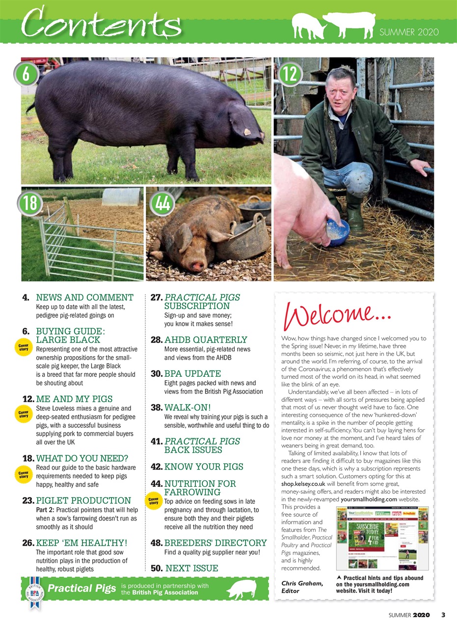 Practical Pigs Preview Pages