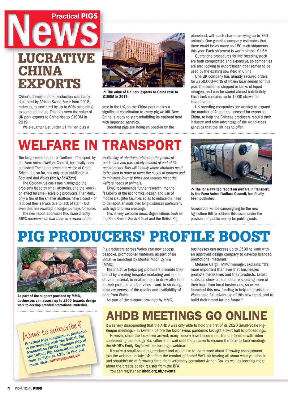 Practical Pigs Preview Pages