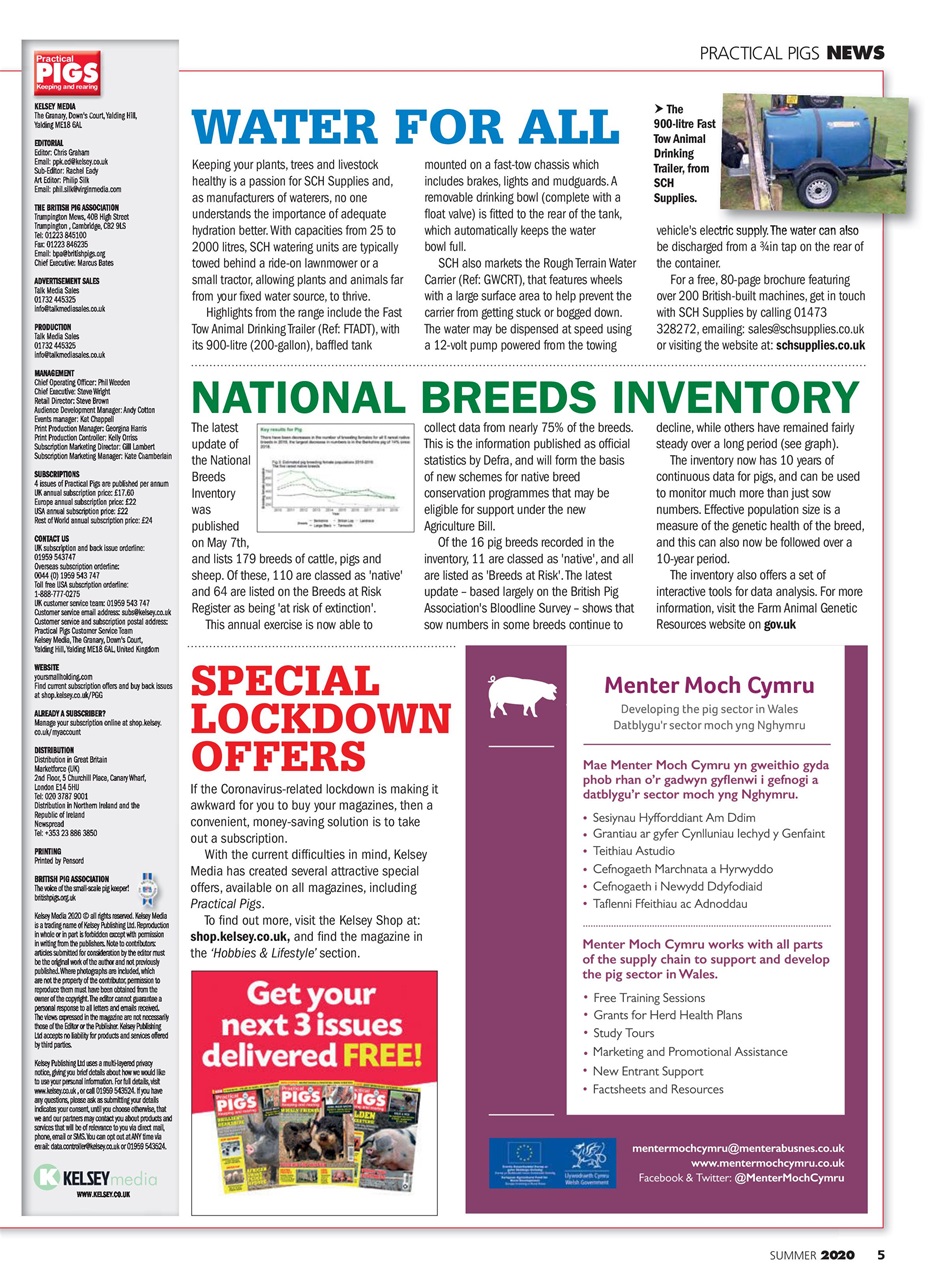 Practical Pigs Preview Pages