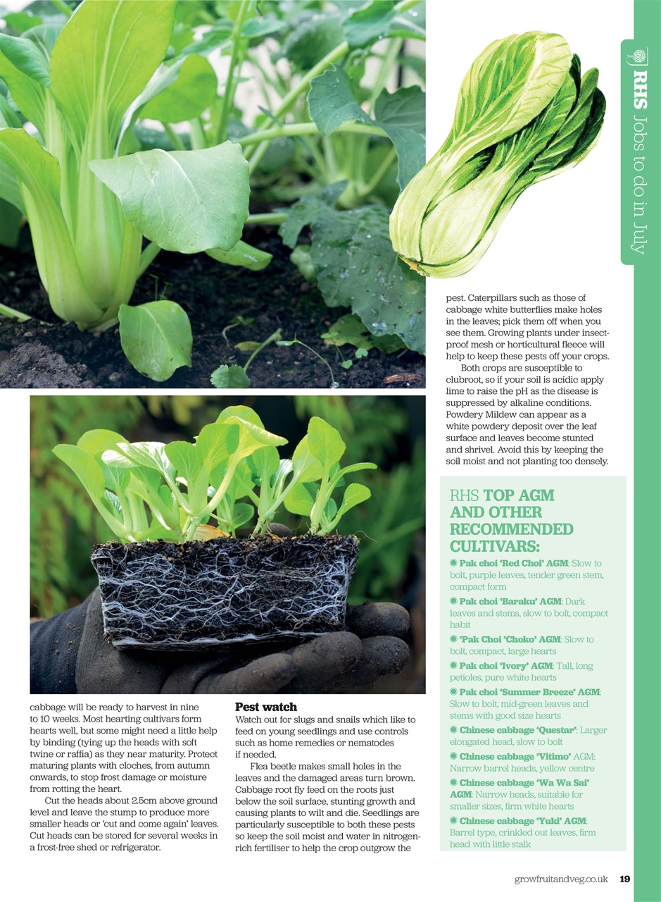 Grow Your Own Preview Pages