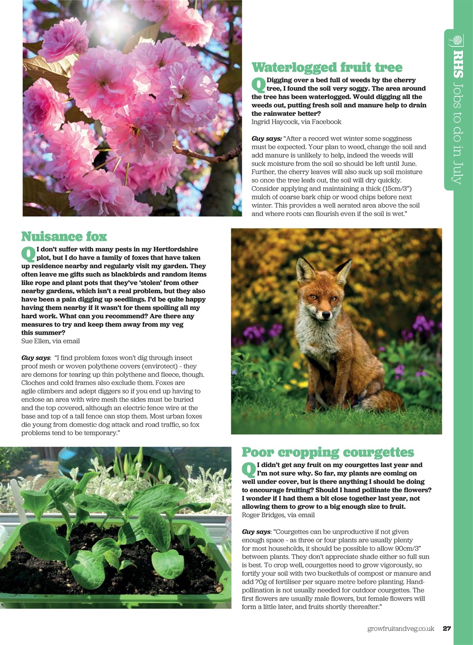 Grow Your Own Preview Pages