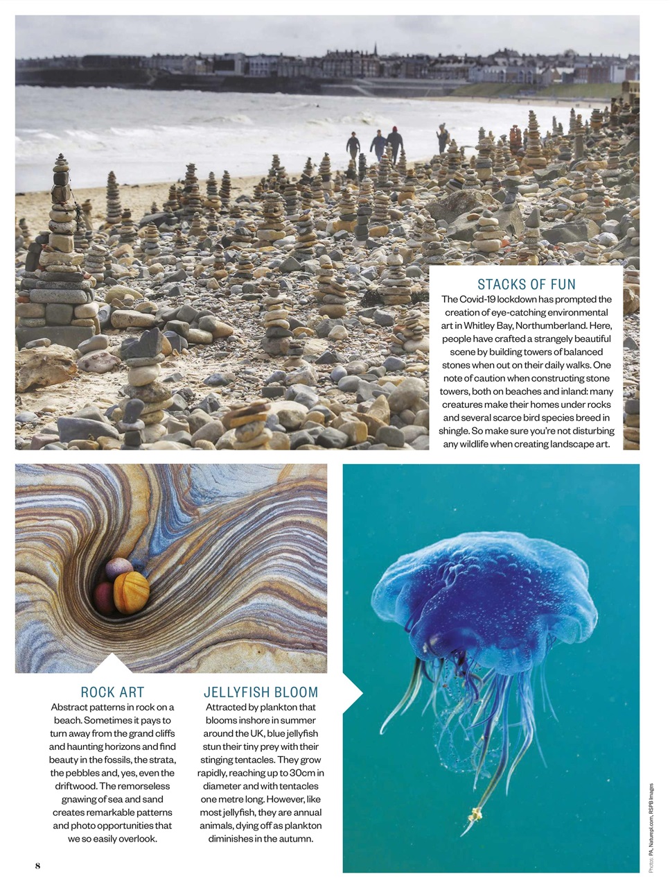 BBC Countryfile Magazine Preview Pages