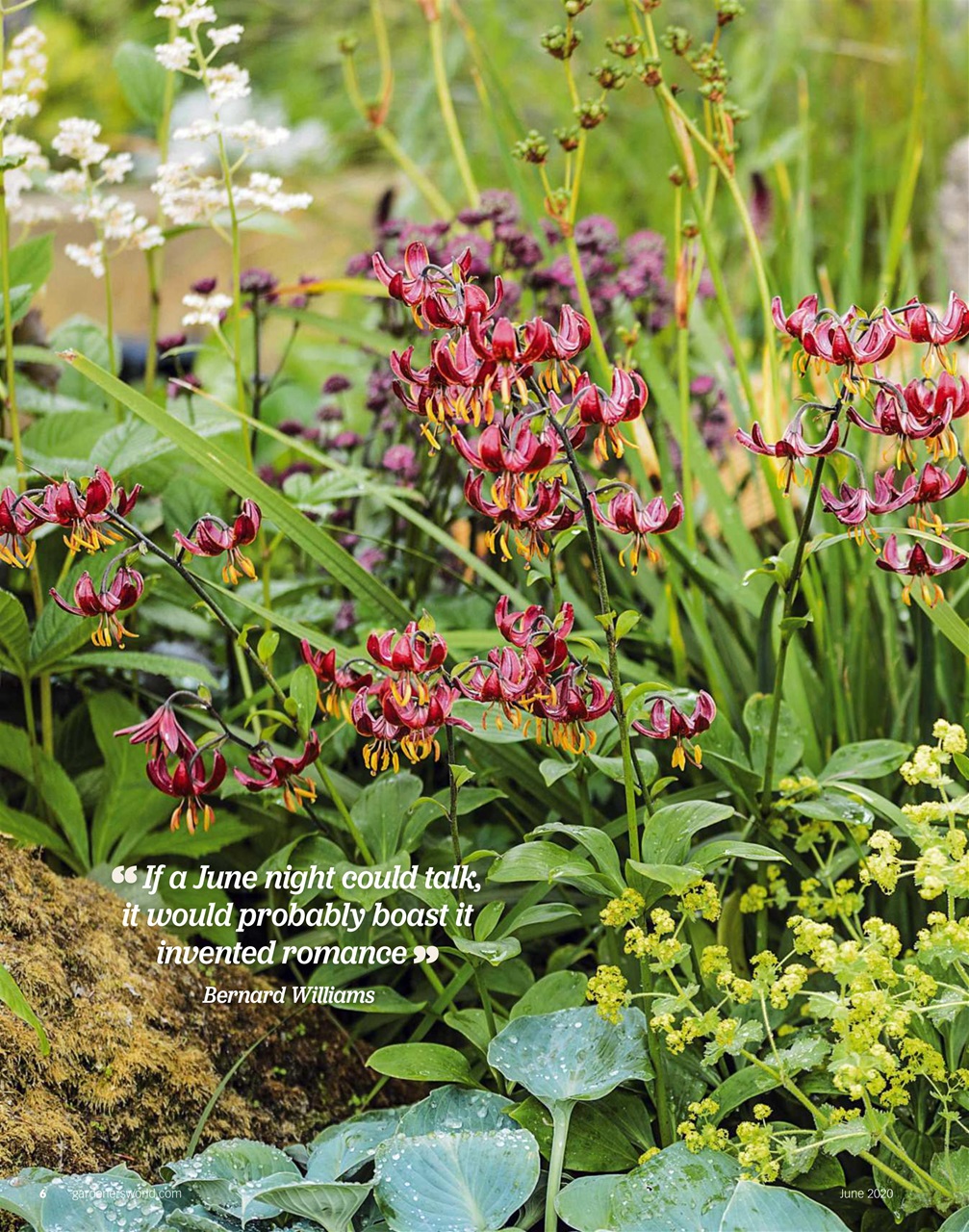 BBC Gardeners’ World Magazine Preview Pages