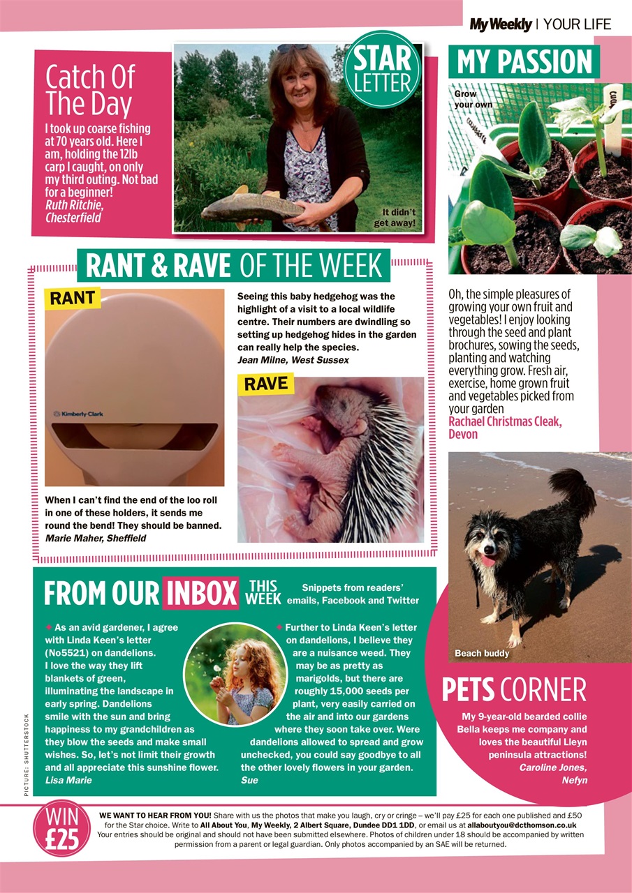 My Weekly Preview Pages