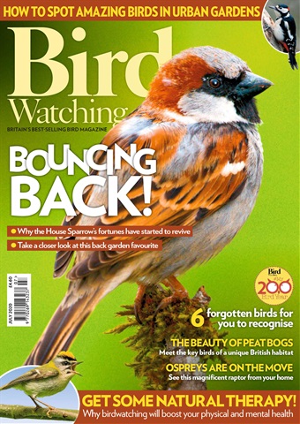 Bird Watching issue Jul 20