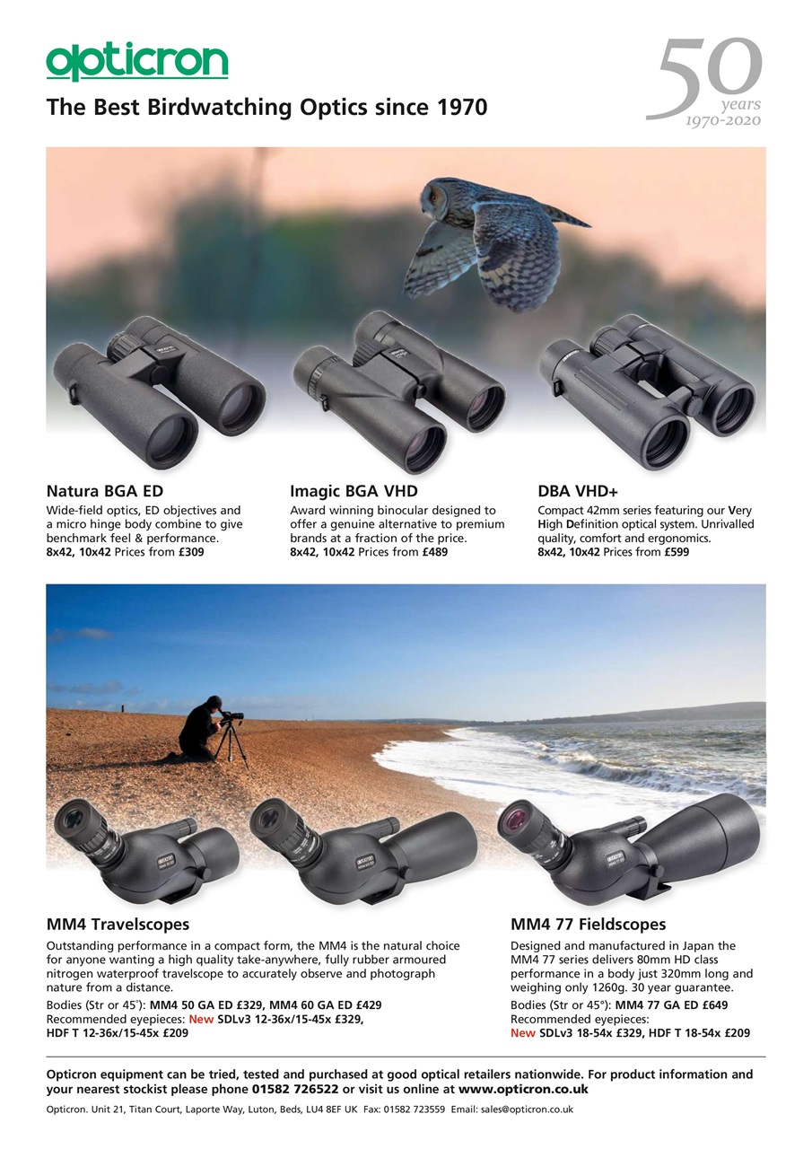 Bird Watching Preview Pages