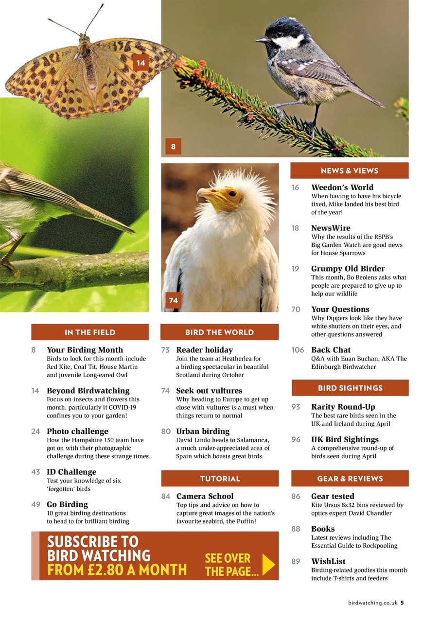 Bird Watching Preview Pages