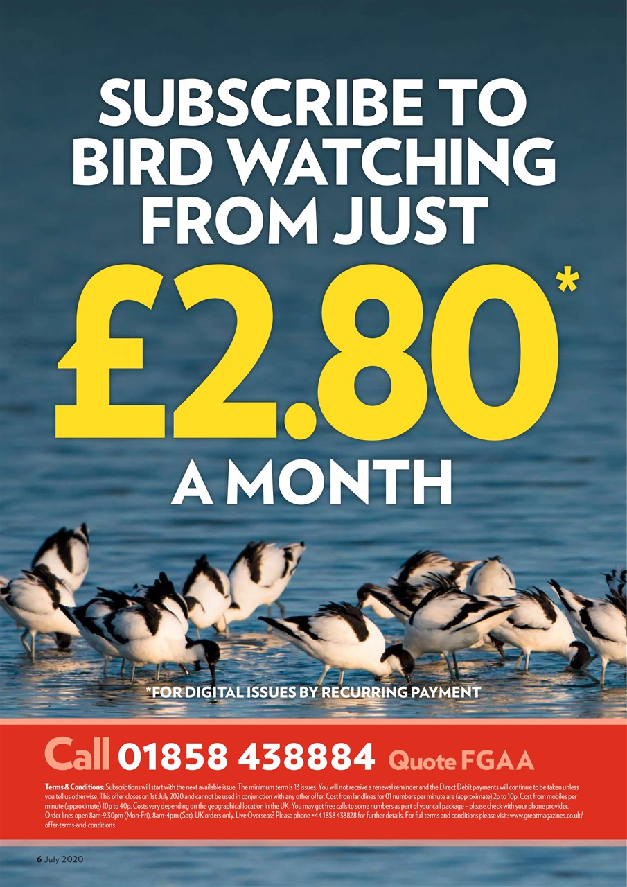 Bird Watching Preview Pages