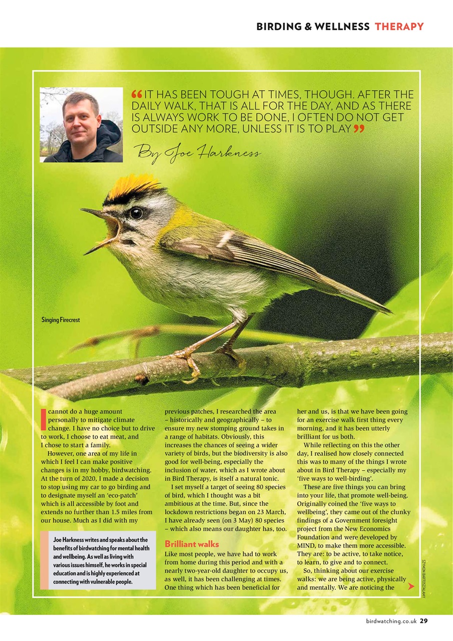 Bird Watching Preview Pages
