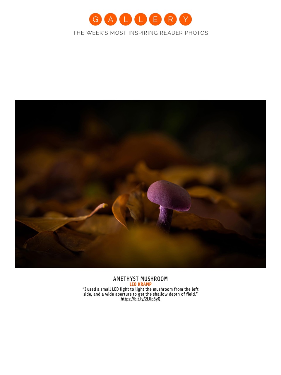 Photography Week Preview Pages