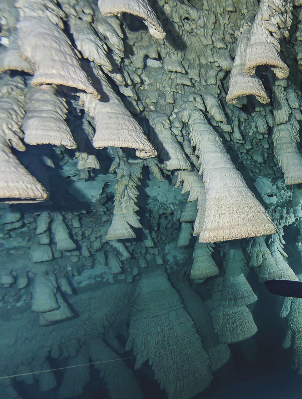 BBC Science Focus Magazine Preview Pages