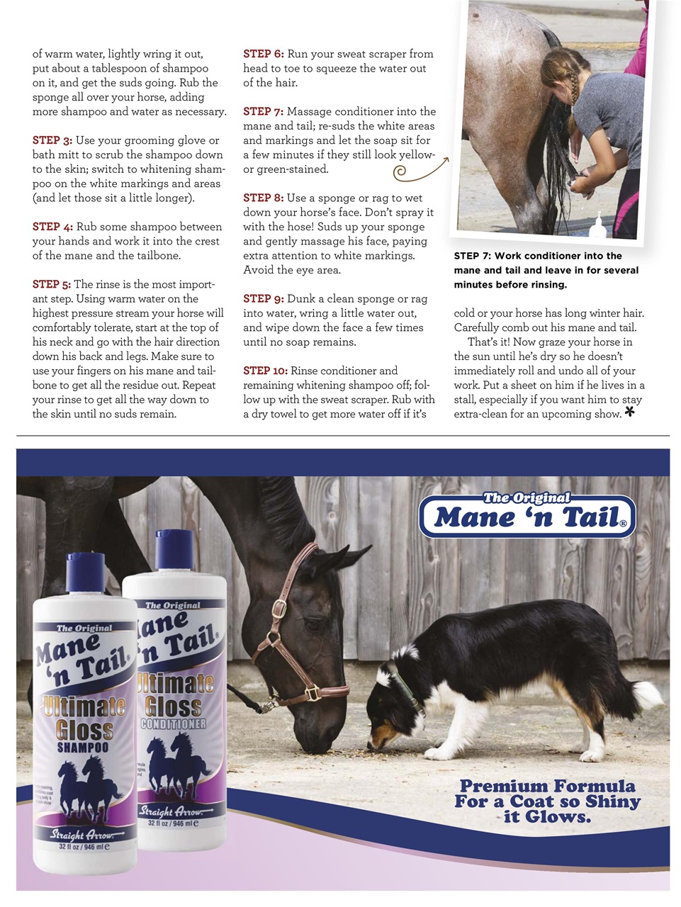 Young Rider Magazine Preview Pages