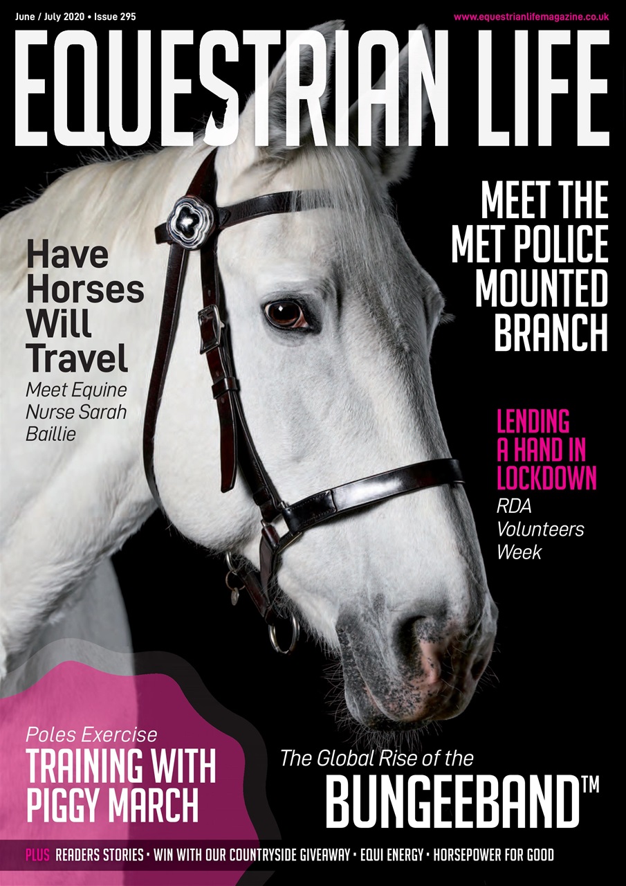 Equestrian Life Magazine Preview Pages