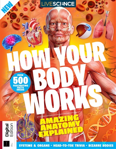 How Your Body Works issue 
