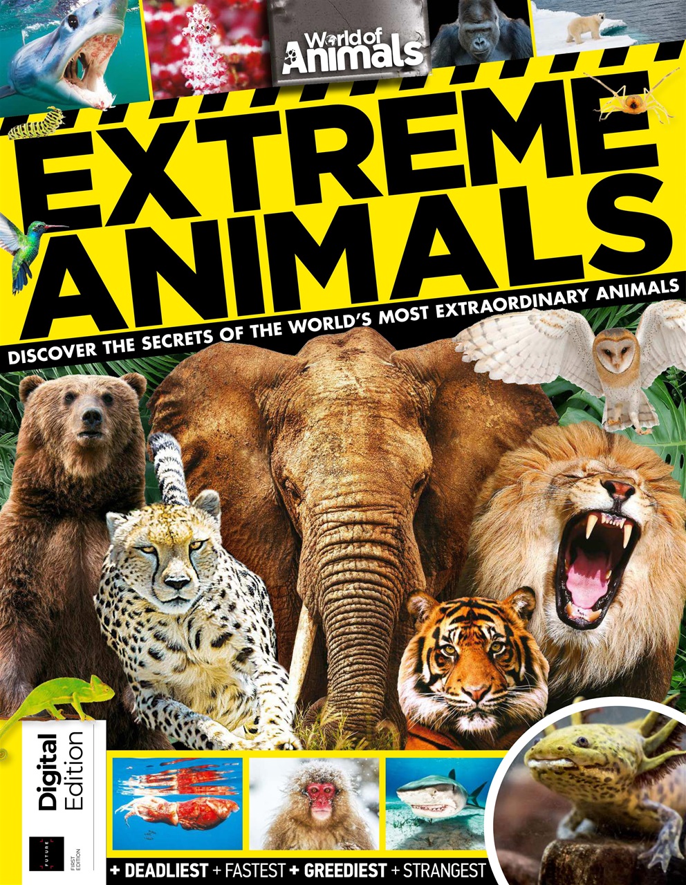 Extreme Animals Preview Pages