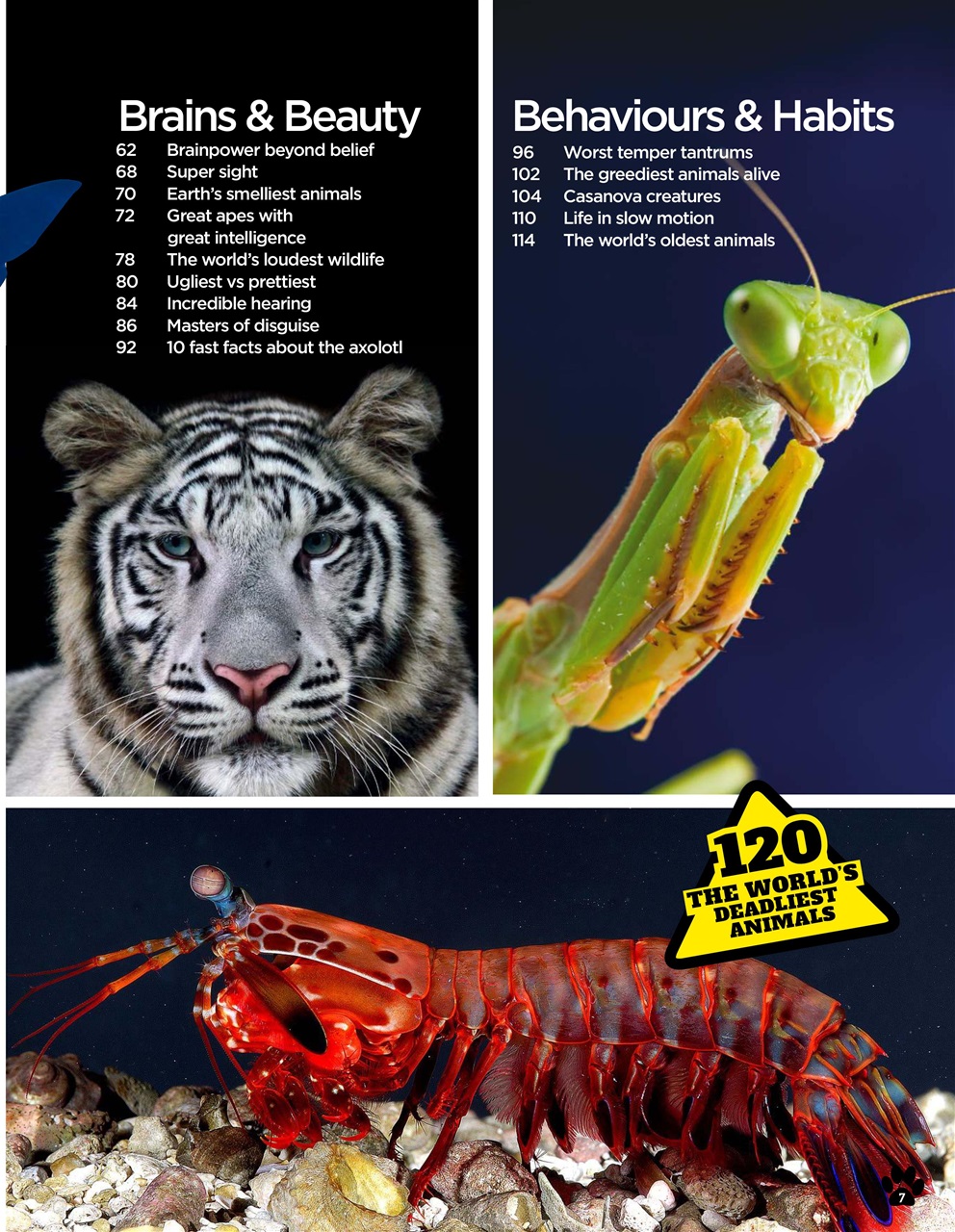 Extreme Animals Preview Pages