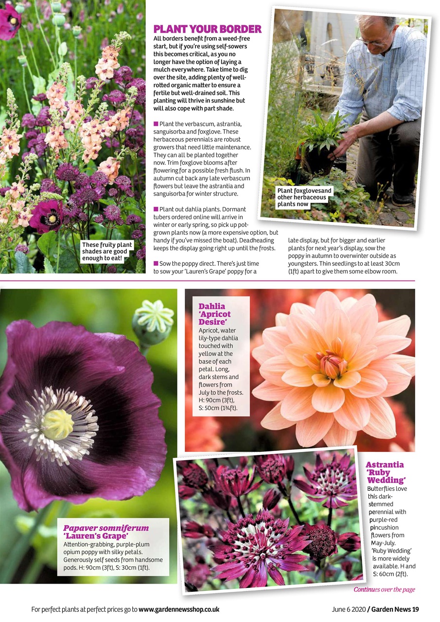 Garden News Preview Pages
