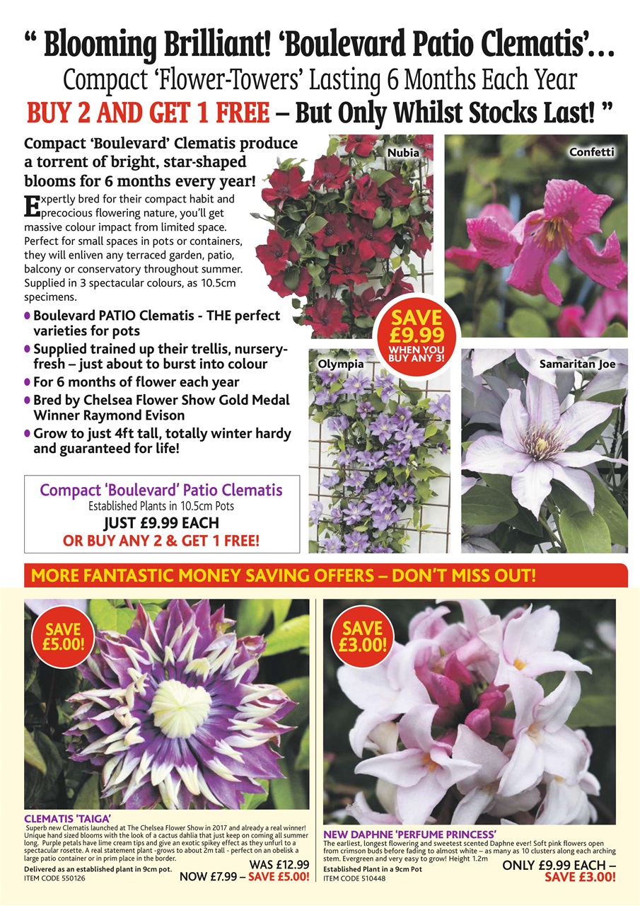 Garden News Preview Pages