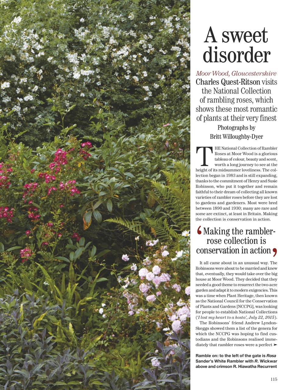 Country Life Preview Pages