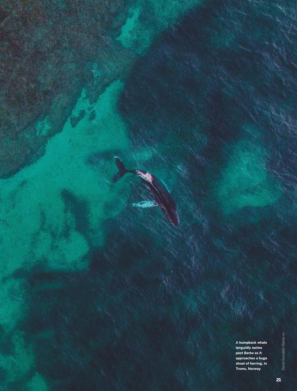 Yachting World Preview Pages