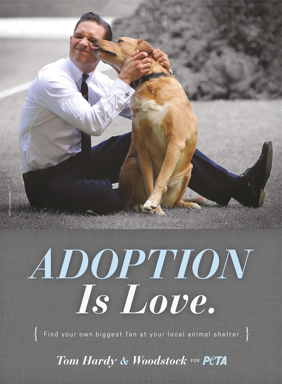 Hello! Magazine Preview Pages