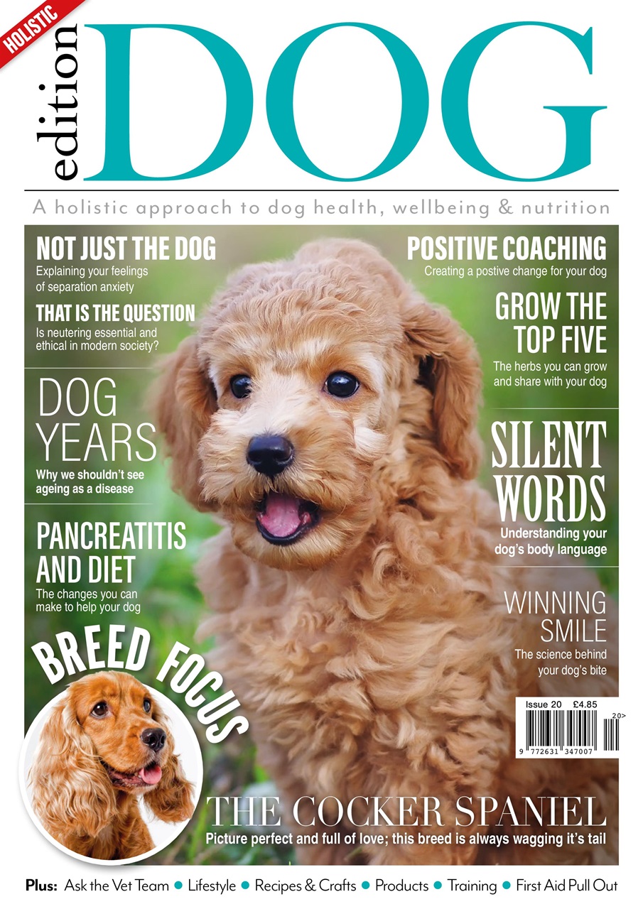 Edition Dog Preview Pages