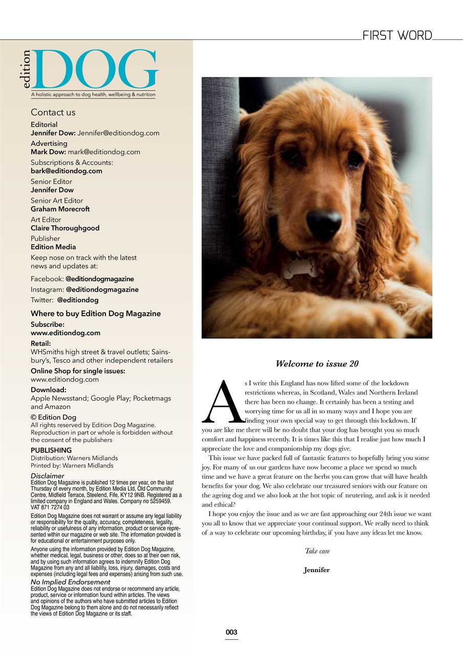 Edition Dog Preview Pages